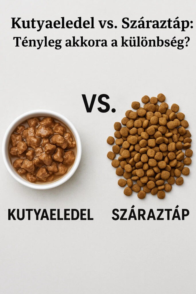 Kutyaeledel vs. száraztáp