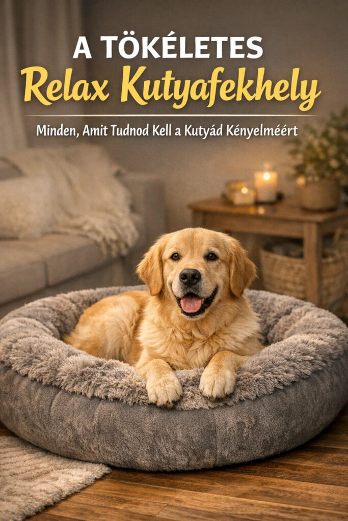 Relax Kutyafekhely