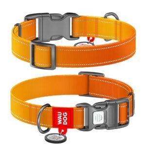 WAUDOG Mono Reflective kutya nyakörv – narancs 4