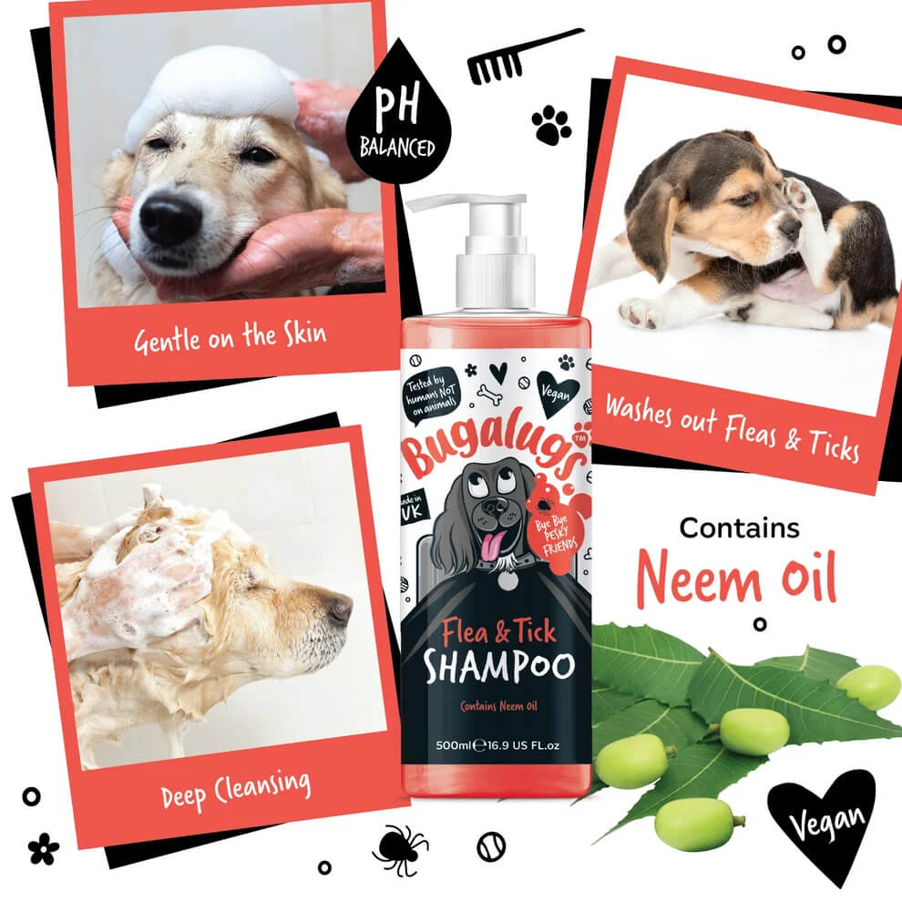 Bugalugs Flea&Tick sampon – bolha és kullancs ellen