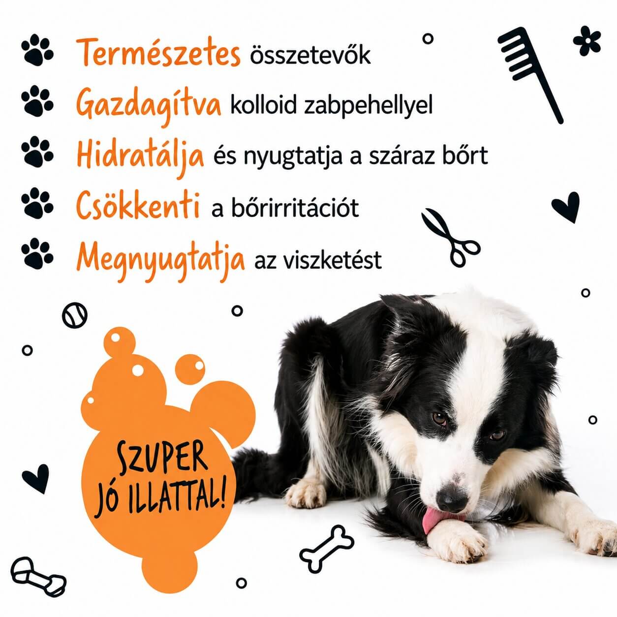 Bugalugs Stinky Dog Sampon – kellemetlen szagok ellen