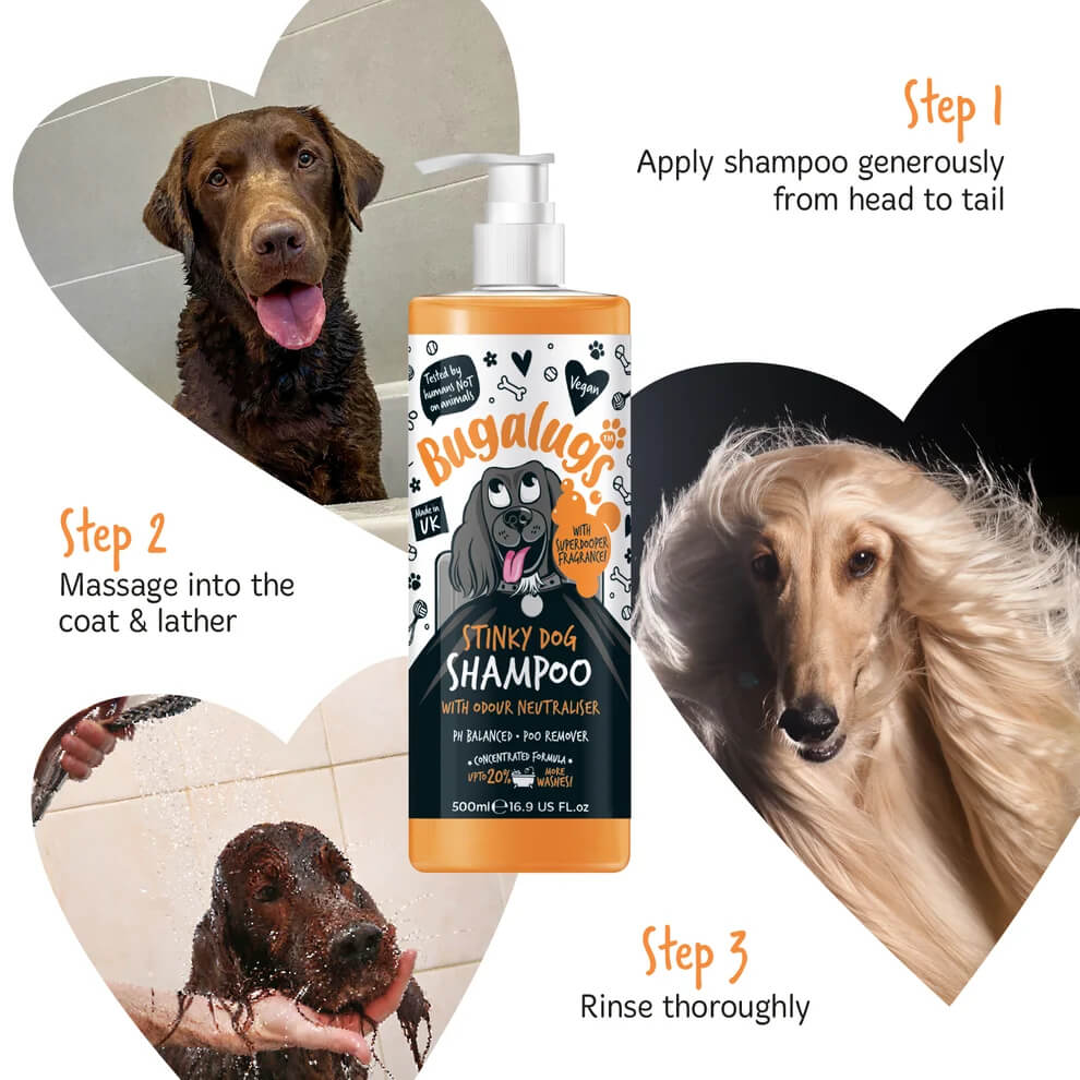 Bugalugs Stinky Dog Sampon – kellemetlen szagok ellen