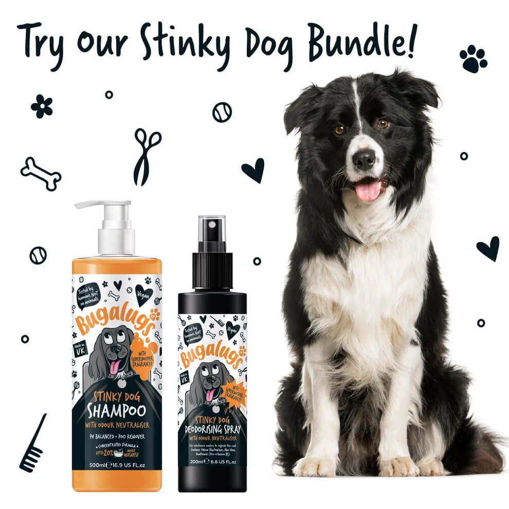 Bugalugs Stinky Dog Sampon – kellemetlen szagok ellen