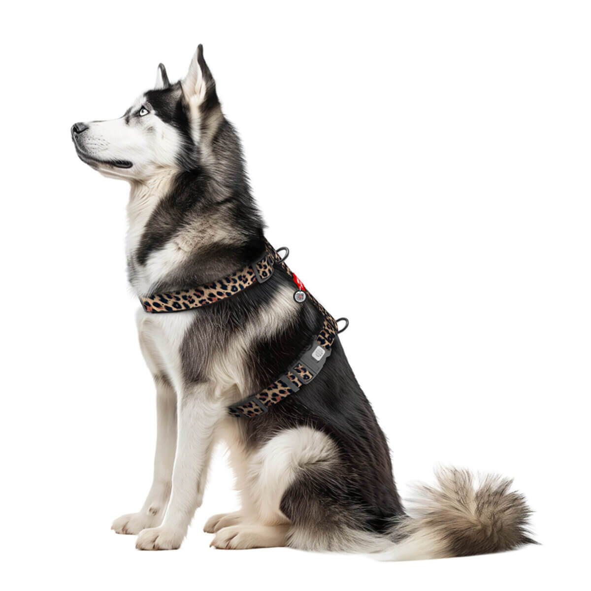 WAUDOG textil kutyahám Leopard QR-kódos azonosítóval 4 méretben