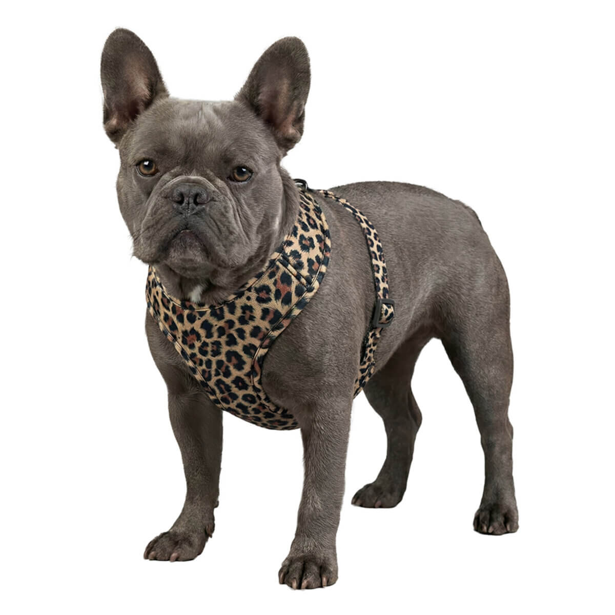 WAUDOG Mesh lélegző kutyahám Leopard L QR-kódos azonosítóval